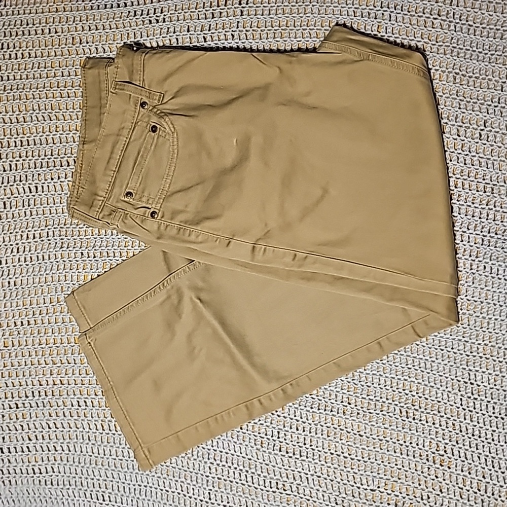 Levis 541